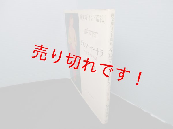 画像2: 画文集インド巡礼　ダルマ・ヤートラ―ブッダの歩いた道　　畠中光享 (2)