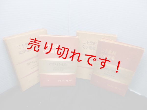 画像2: 二十世紀文学選集　アロウスミスの生涯　上下2冊セット　シンクレア・ルイス/鵜飼長寿 訳 (2)