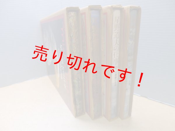 画像2: 星野道夫の仕事　全4冊揃　星野道夫 (2)