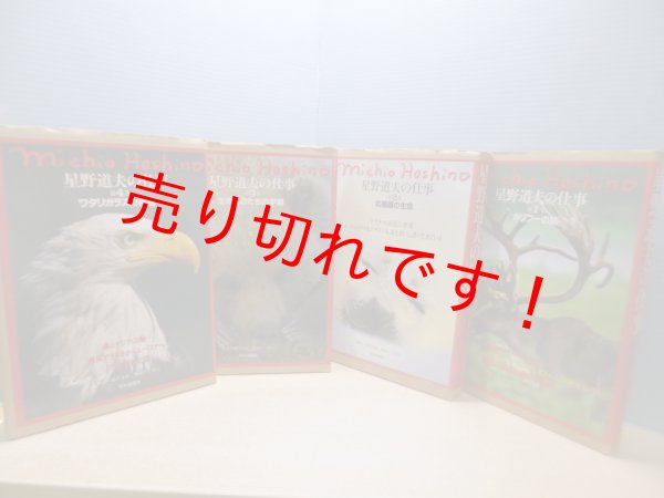 画像1: 星野道夫の仕事　全4冊揃　星野道夫 (1)
