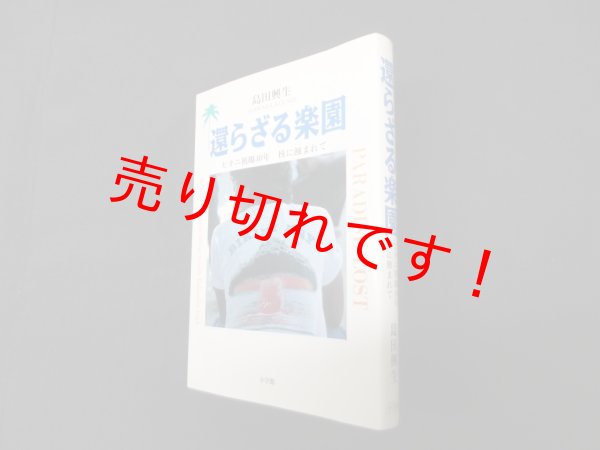 画像1: 還らざる楽園　ビキニ被爆40年　核に蝕まれて　島田興生 (1)