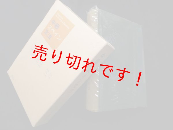 画像1: 中級スペイン文法　山田善郎 監修 (1)