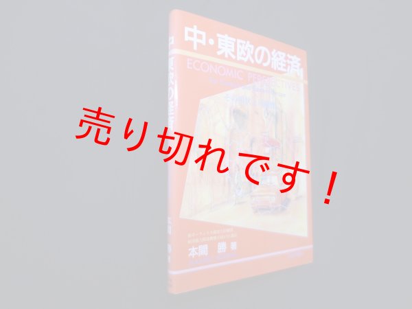 画像1: 中・東欧の経済―その現状と可能性　本間勝 (1)