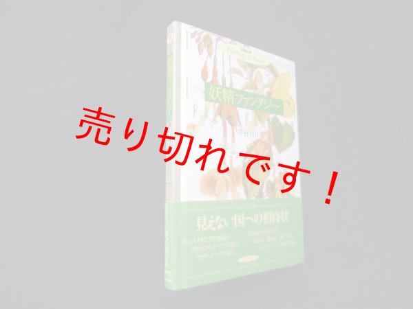 画像1: 妖精ファンタジー : 絵画と詩　井村君江 (1)
