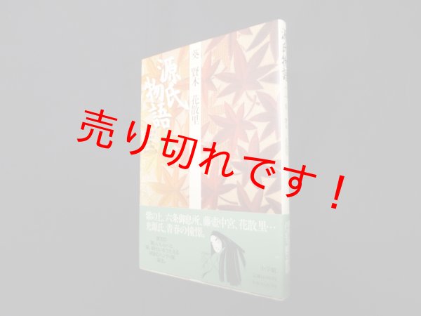 画像1: 源氏物語―葵・賢木・花散里 (第3巻) (古典セレクション)　阿部秋生 他校注・訳 (1)