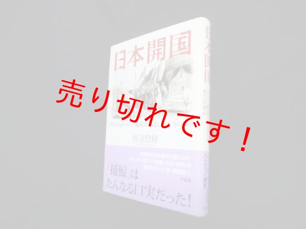 画像1: 日本開国―アメリカがペリー艦隊を派遣した本当の理由　渡辺惣樹 (1)