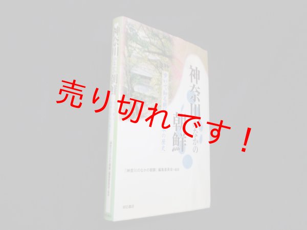 画像1: 神奈川のなかの朝鮮―歩いて知る朝鮮と日本の歴史　『神奈川のなかの朝鮮』編集委員会 (1)