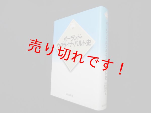 画像1: ポーランド・ウクライナ・バルト史（新版 世界各国史20）　伊東孝之 他編 (1)