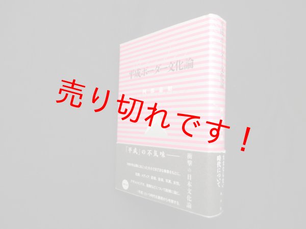 画像1: 平成ボーダー文化論　阿部嘉昭 (1)