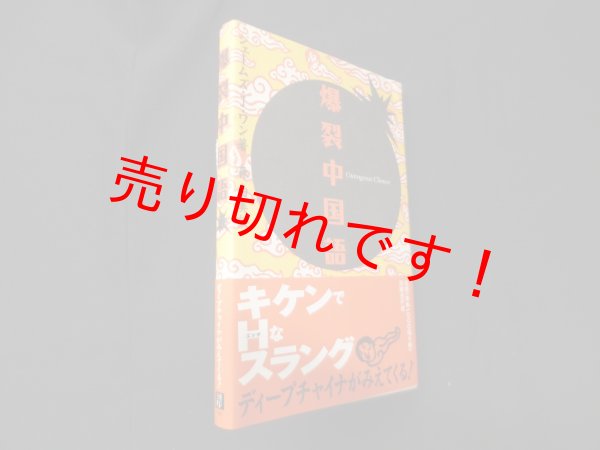 画像1: 爆裂中国語　ジェームズ・J.ワン/森由美 訳 (1)