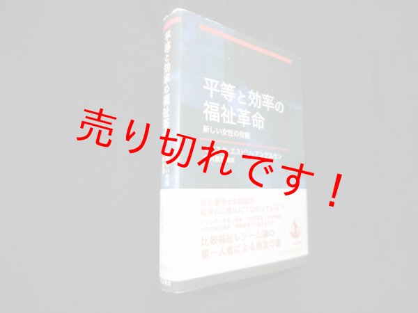 画像1: 平等と効率の福祉革命―新しい女性の役割　イエスタ・エスピン＝アンデルセン/大沢真理 監訳 (1)