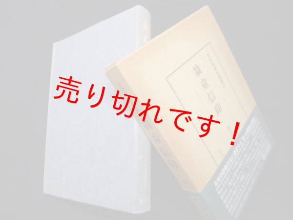 画像1: 翁童信仰 (民衆宗教史叢書27)　鎌田東二 編 (1)