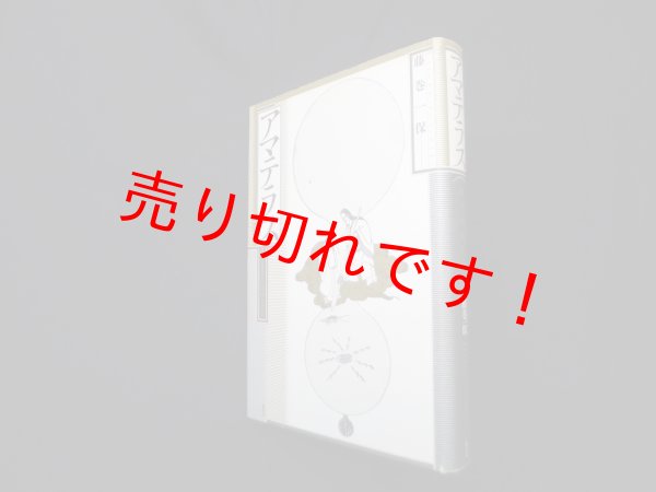 画像1: アマテラス―真の原像を探る　藤巻一保 (1)