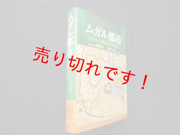 画像1: ムガル都市―イスラーム都市の空間変容　布野修司, 山根周 (1)