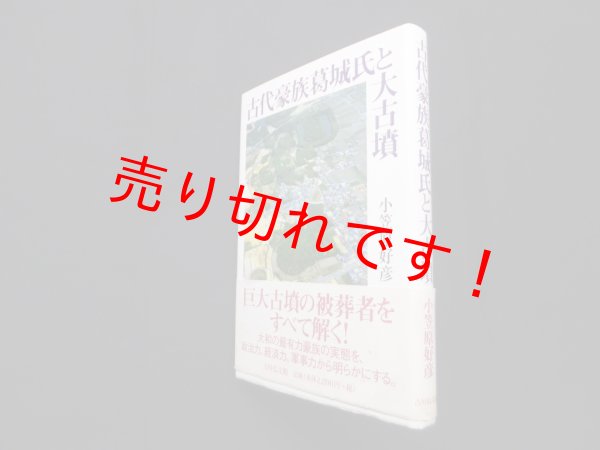 画像1: 古代豪族葛城氏と大古墳　小笠原好彦 (1)
