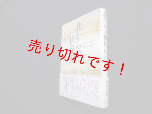 画像1: 北からの世界史―柔らかい黄金と北極海航路　宮崎正勝 (1)