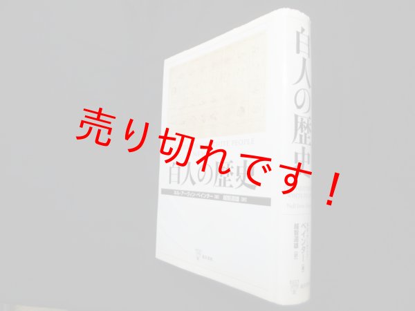 画像1: 白人の歴史　ネル・アーヴィン・ペインター/越智道雄 訳 (1)