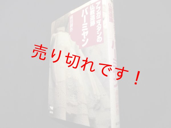 画像1: アフガニスタンの仏教遺跡バーミヤン	前田耕作 (1)