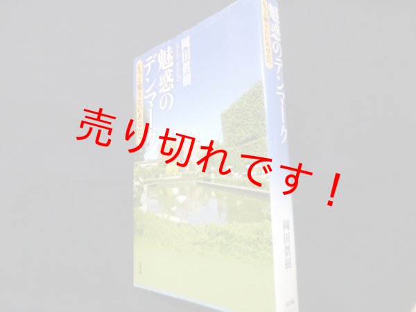 画像1: 魅惑のデンマーク  もっと知りたいあなたへ　岡田眞樹 (1)