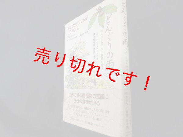 画像1: どんぐりの雨―ウスリータイガの自然を守る　M.ディメノーク/橋本ゆう子・菊間満訳 (1)
