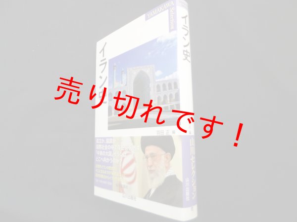 画像1: イラン史 (YAMAKAWA Selection)　羽田正編 (1)