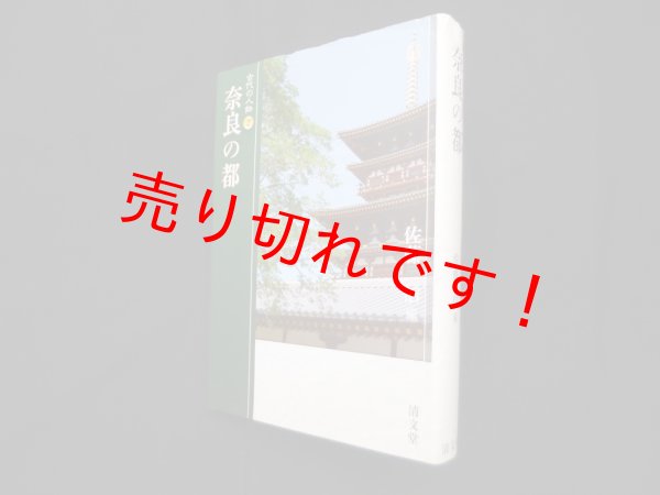 画像1: 奈良の都 (古代の人物2)　佐藤信 編 (1)