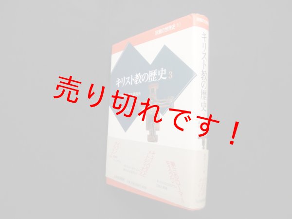 画像1: キリスト教の歴史 3 (宗教の世界史 10)　廣岡正久 (1)