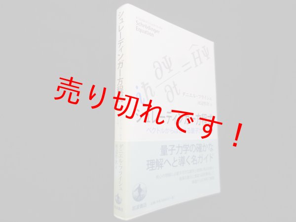 画像1: シュレーディンガー方程式―ベクトルからはじめる量子力学入門　ダニエル・フライシュ/河辺哲次 訳 (1)