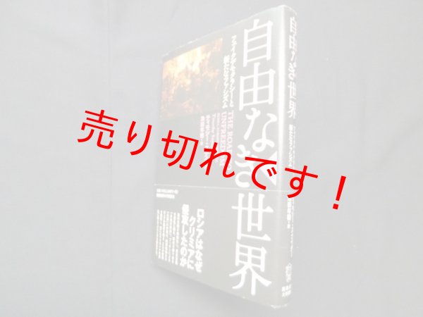画像1: 自由なき世界 上―フェイクデモクラシーと新たなファシズム　ティモシー・スナイダー/池田年穂 訳 (1)