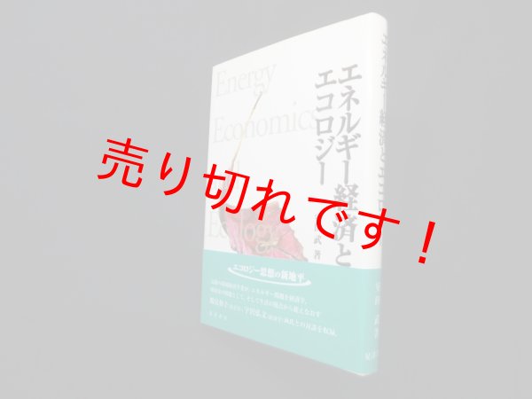 画像1: エネルギー経済とエコロジー　室田武 (1)