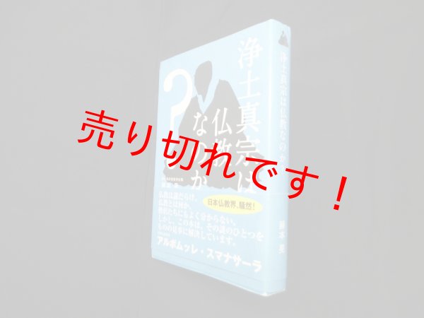画像1: 浄土真宗は仏教なのか？　藤本晃 (1)