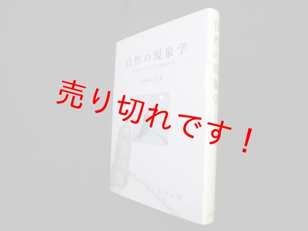 画像1: 自然の現象学―メルロ・ポンティと自然の哲学　加國尚志 (1)