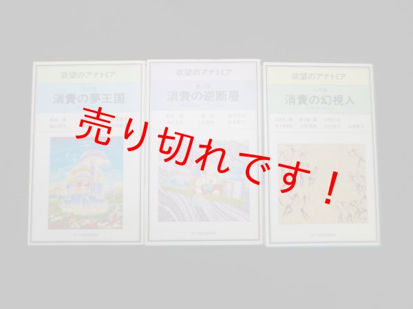 画像2: 欲望のアナトミア　天の巻・地の巻・人の巻　全3冊揃　山本哲士 監修 (2)