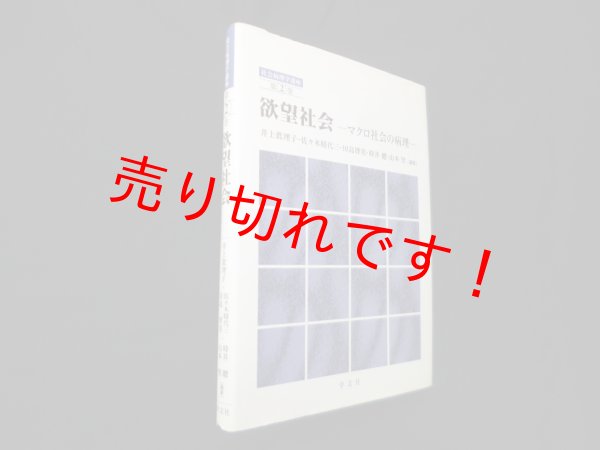 画像1: 欲望社会―マクロ社会の病理（社会病理学講座 第2巻）　井上眞理子 他編著 (1)