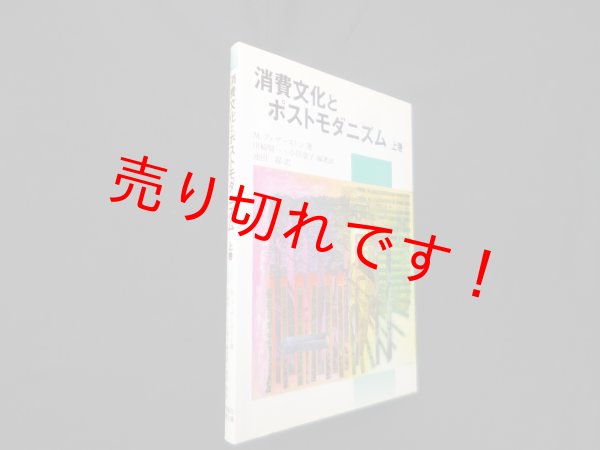 画像1: 消費文化とポストモダニズム〈上巻〉　M.フェザーストン/川崎賢一 他編著訳 (1)