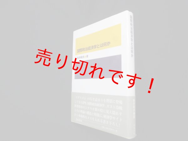 画像1: 国際政治経済学とは何か　坂井昭夫 (1)