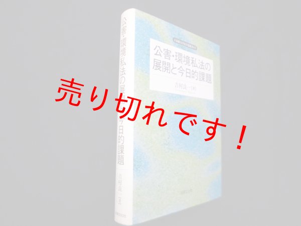 画像1: 公害・環境私法の展開と今日的課題 (立命館大学法学部叢書1号)　吉村良一 (1)