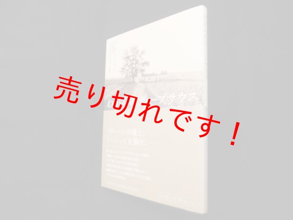 画像1: わが心のディープサウス　ジェームス・M・バーダマン/森本豊富 訳 (1)