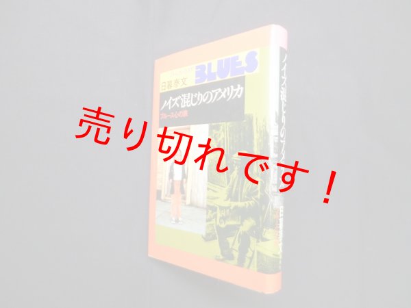 画像1: ノイズ混じりのアメリカ―ブルース心の旅　日暮泰文 (1)
