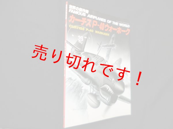 画像1: 世界の傑作機 No.39　カーチスP-40ウォーホーク (1)