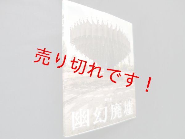 画像1: 幽幻廃墟　星野藍 (1)