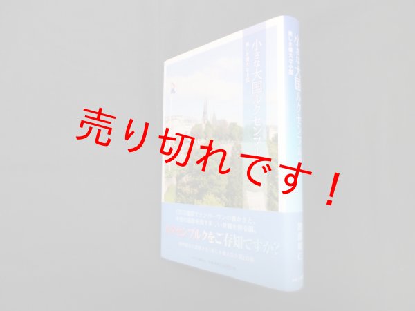 画像1: 小さな大国ルクセンブルク―美しき偉大な小国　建部和仁 (1)