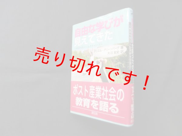 画像1: 自由な学びが見えてきた―サドベリー・レクチャーズ　ダニエル・グリーンバーグ/大沼安史 訳 (1)