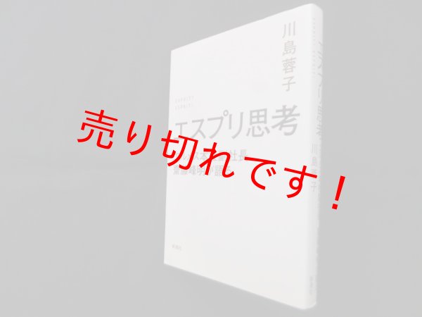 画像1: エスプリ思考―エルメス本社副社長、齋藤峰明が語る　川島蓉子 (1)