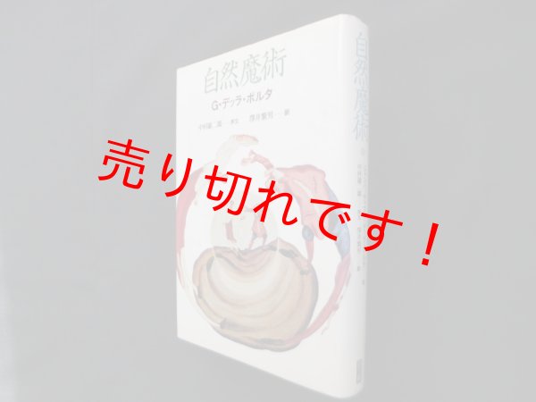 画像1: 自然魔術　ジャンバッティスタ・デッラ・ポルタ/澤井繁男 訳 (1)