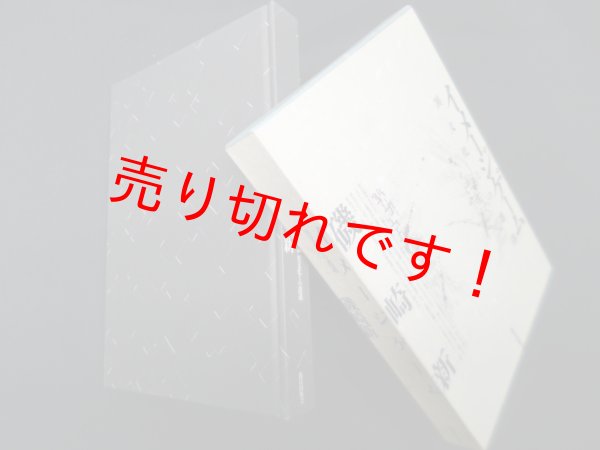 画像1: イメージゲーム―異文化との遭遇　磯崎新 (1)