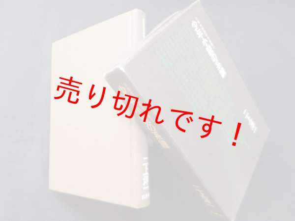 画像1: 少年小説の系譜 (幻影城評論研究叢書〈4〉)　二上洋一 (1)