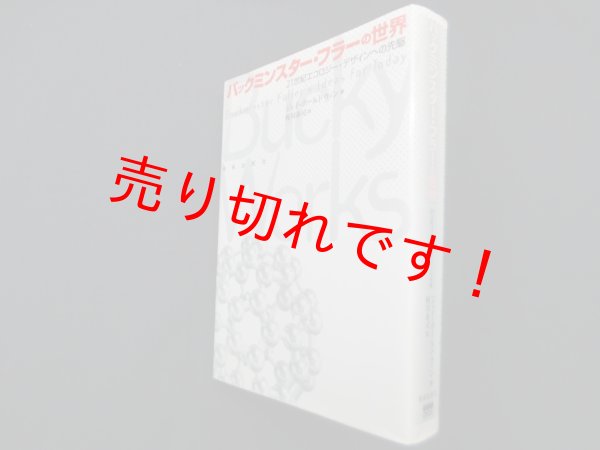 画像1: バックミンスター・フラーの世界　21世紀エコロジー・デザインへの先駆　ジェイ・ボールドウィン/梶川泰司 訳 (1)