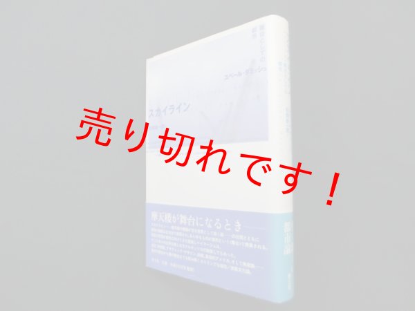 画像1: スカイライン―舞台としての都市　ユベール ダミッシュ/松岡 新一郎 訳 (1)
