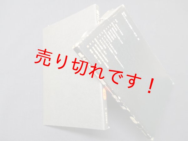 画像1: 風土に生きる建築（SD選書179）　若山滋 (1)